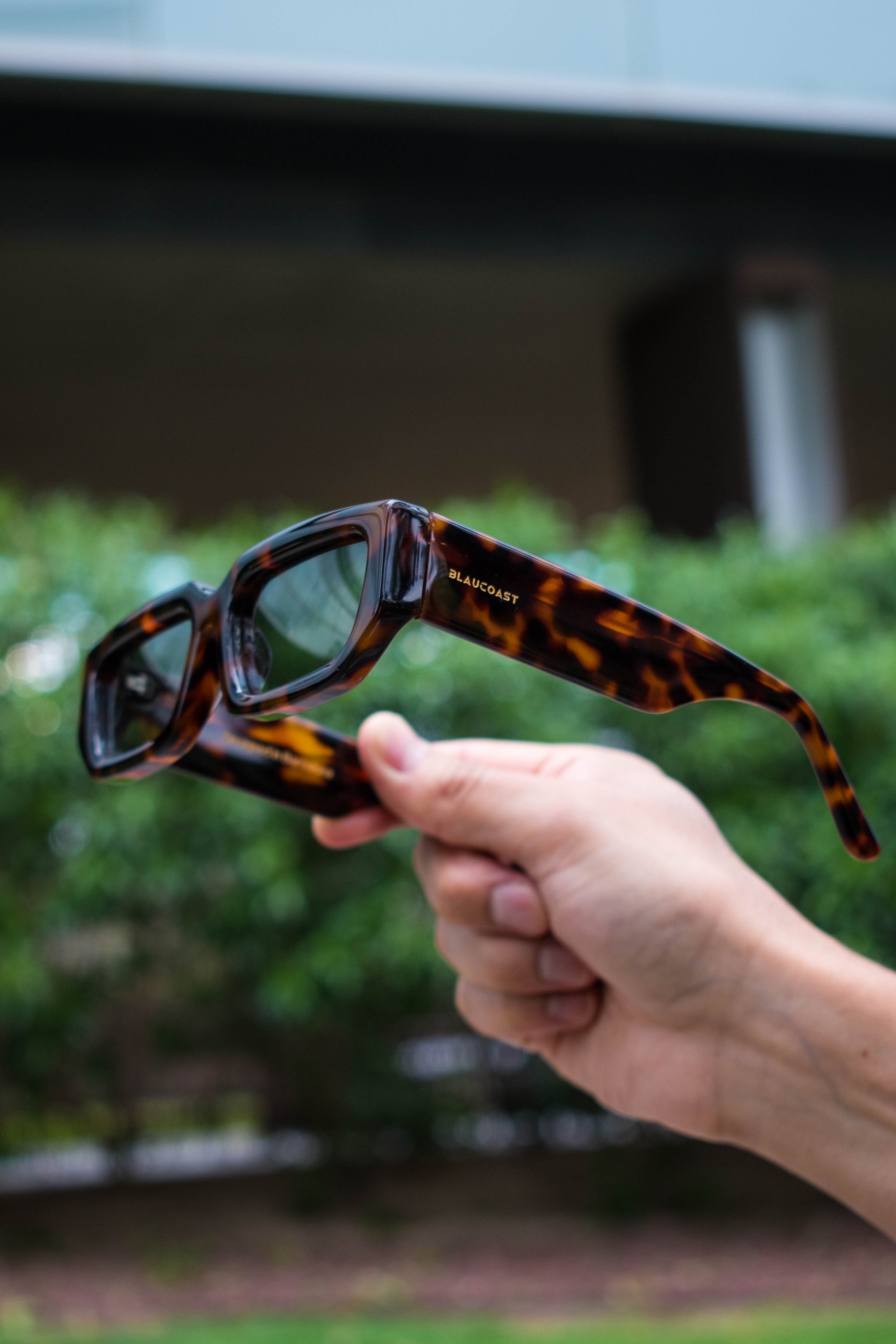 Sunset Carey Mi tienda